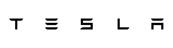 TESLA|特斯拉(中国) Logo
